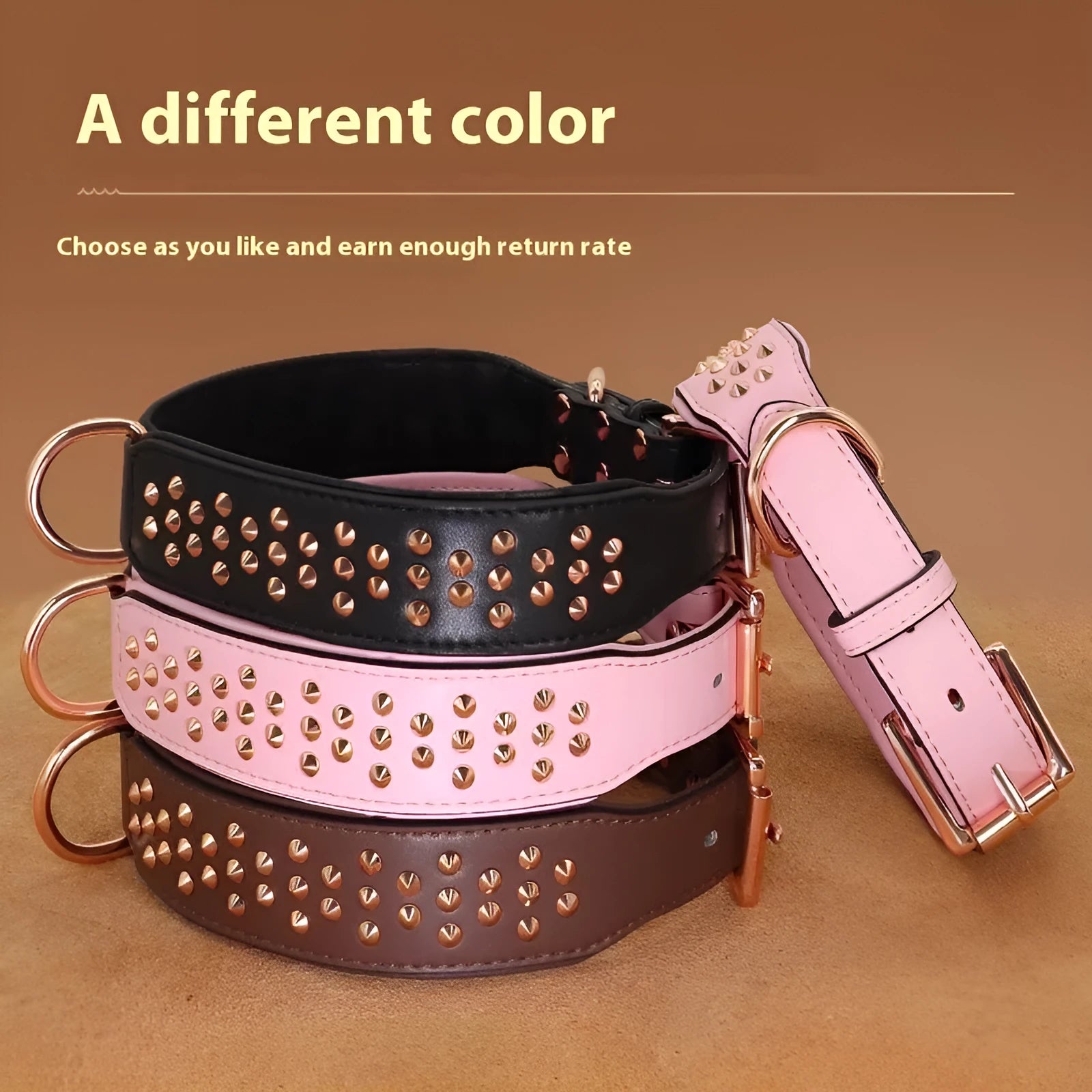Leather dog collar with a line of stainless steel rivets, shown in black colour.