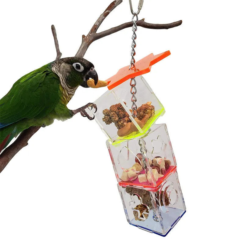 Transparent acrylic parrot foraging toy measuring 32cm long for bird enrichment with fruits and nuts