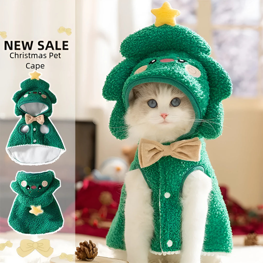 Cat wearing a green granular-velvet Christmas cape coat with a tree-shaped hat and star