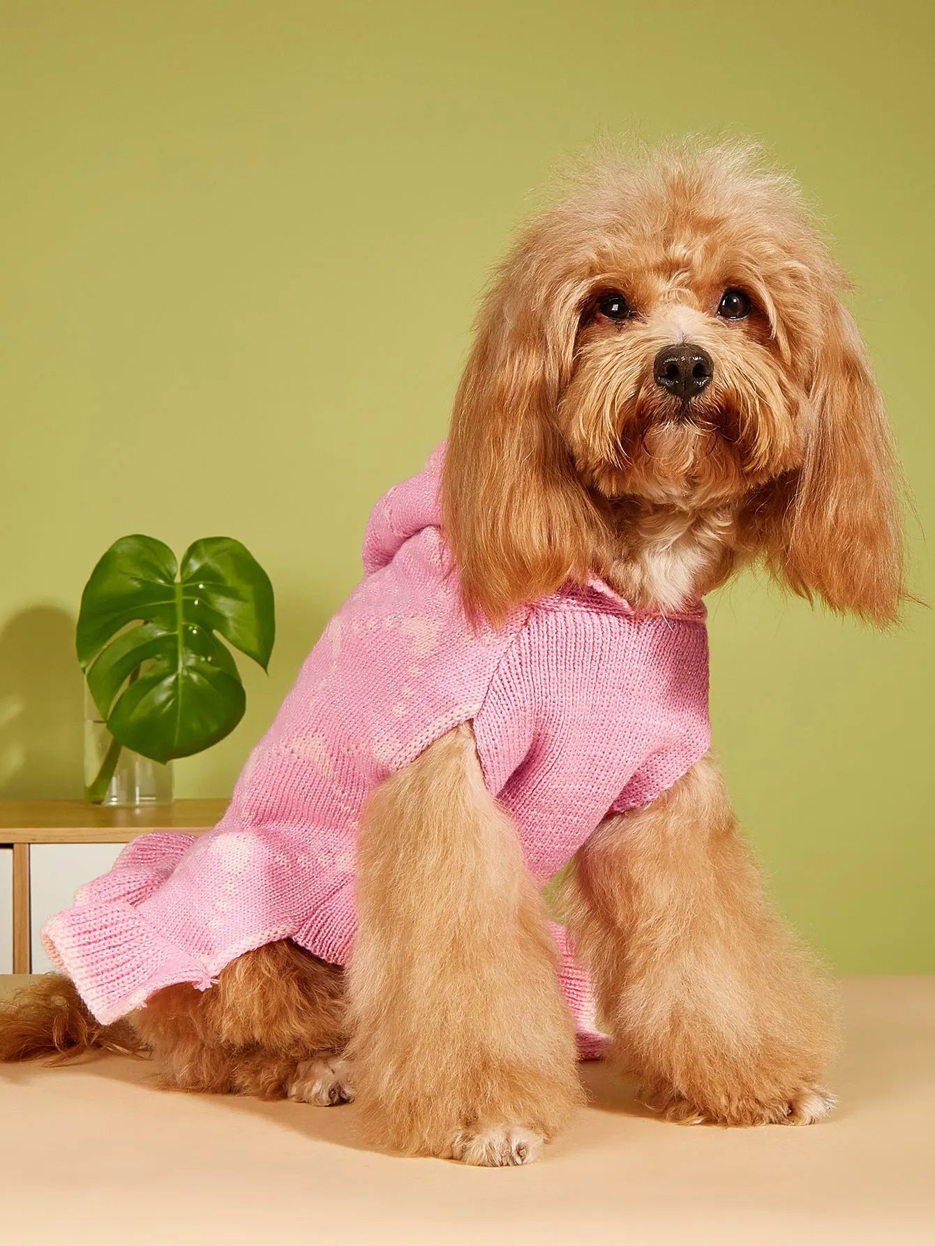 Small Dog Sweater Hoodies Dress Winter Knit Cute Clothing Heart Puppy Clothes with Four Colour Options and Four Sizes Including XS for Tiny Breeds