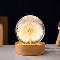 Dandelion eternal flower inside a clear resin crystal ball USB night light on a beech wood stand.