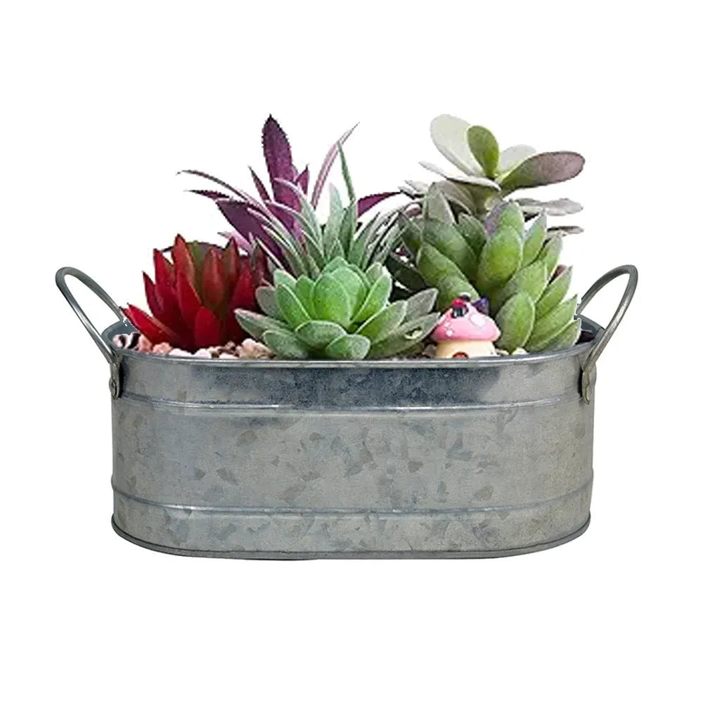 Small iron metal flowerpot for succulents on a wooden desktop.