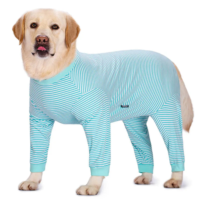Four-legged striped dog shirt on Golden Retriever showing full coverage design with sky blue colour