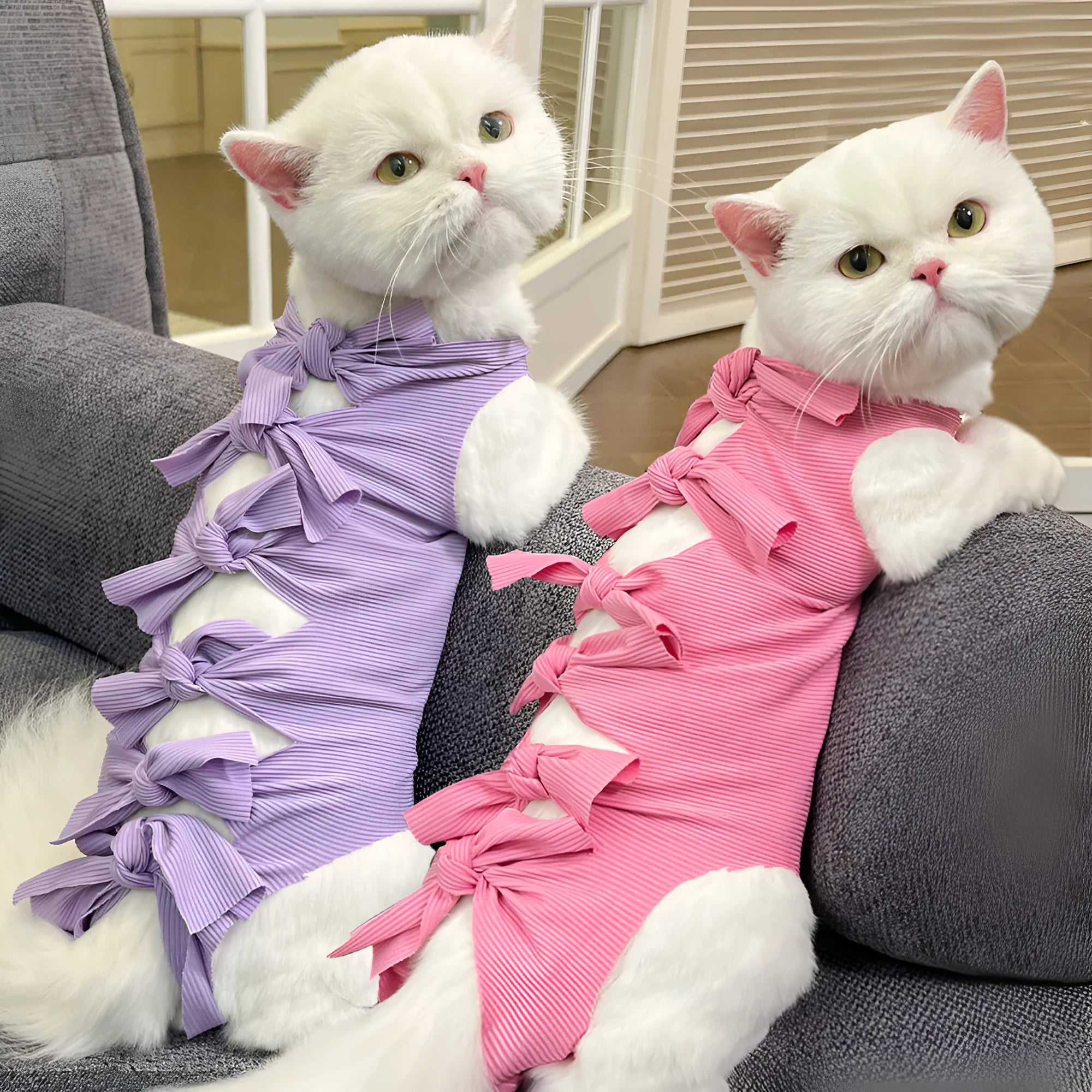 Lace-up polyester cat sterilisation clothing in blue colour showing adjustable fastening system for postoperative recovery