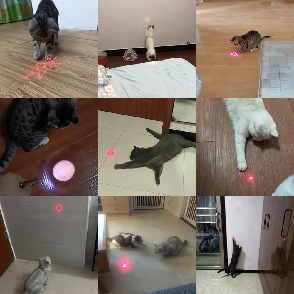 Pink and black USB-rechargeable infrared laser cat teaser toy with keychain loop.