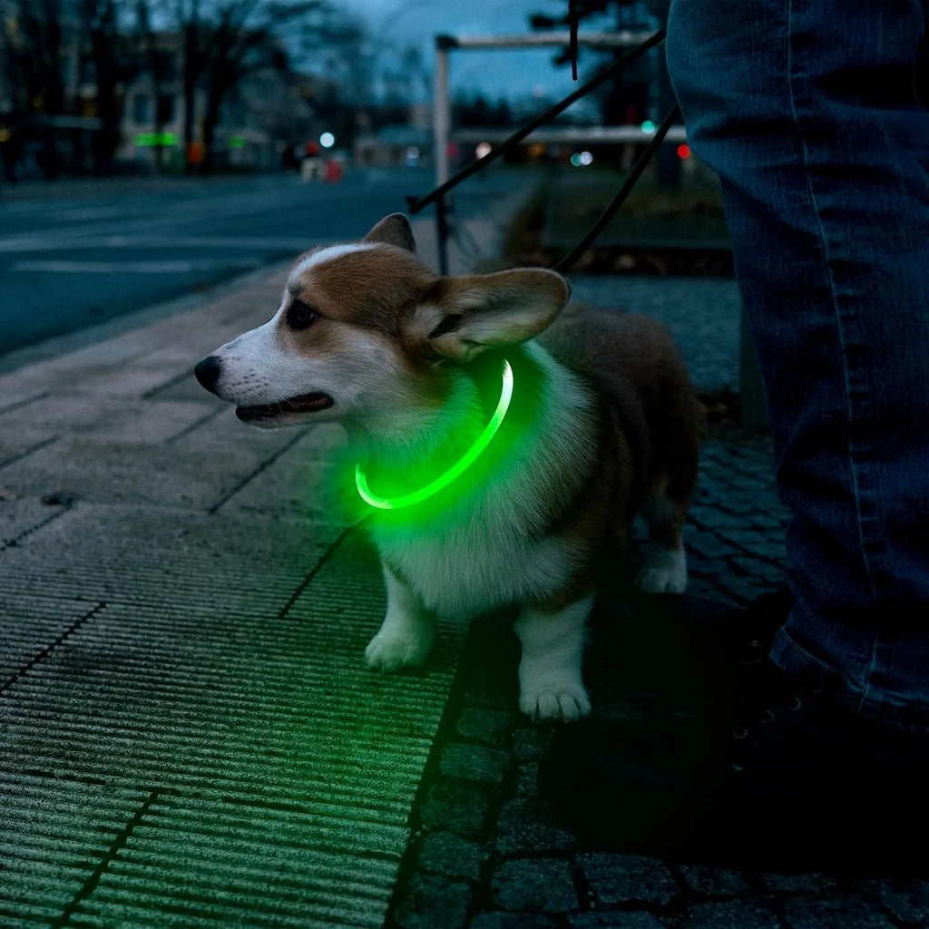 USB rechargeable LED dog safety collar with glowing light and adjustable 70cm TPU construction