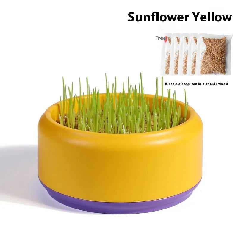 Blue, green, and yellow hydroponic cat grass kits with soilless planters and seed packets.