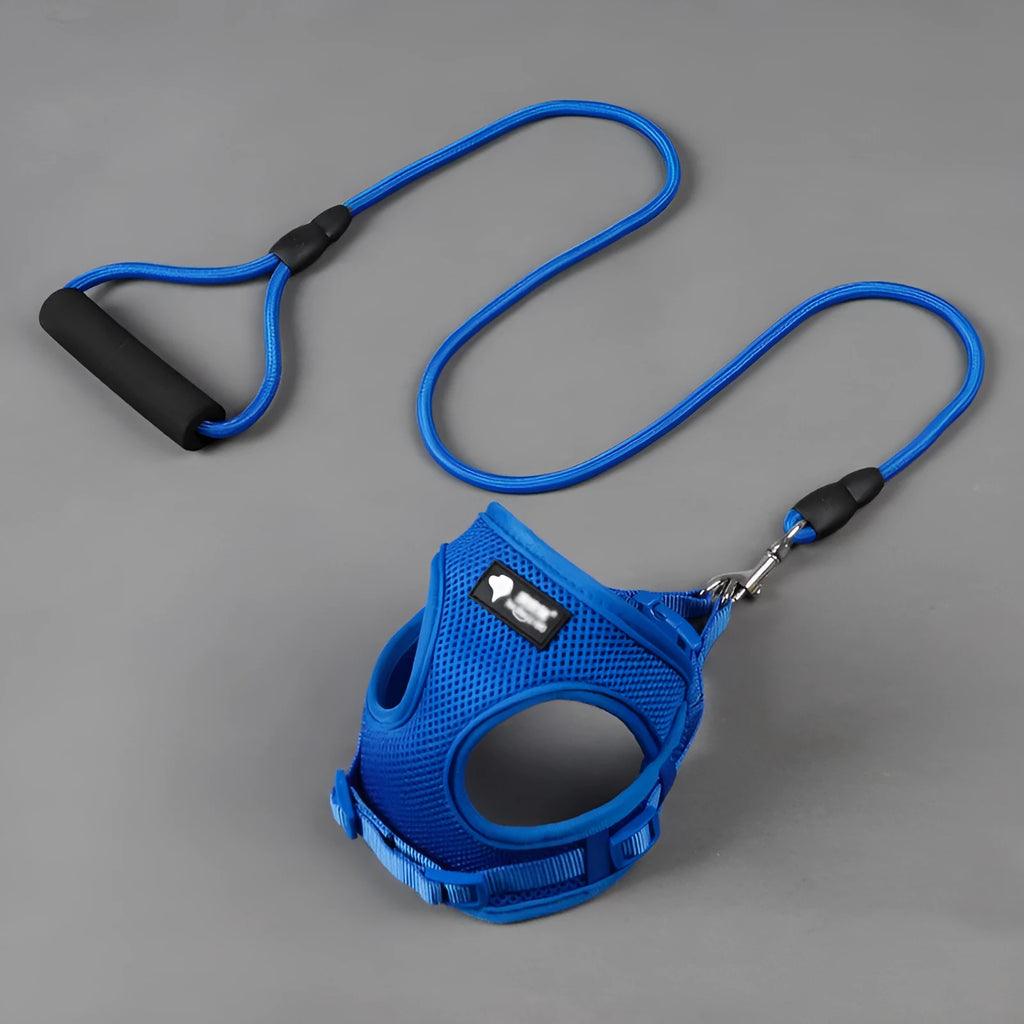 Blue dog leash with foam handle, 120cm long with adjustable collar for small to medium dogs