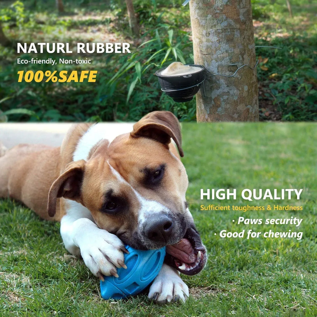 Blue, green, and orange durable natural rubber squeaky dog chew ball for medium and large breeds.