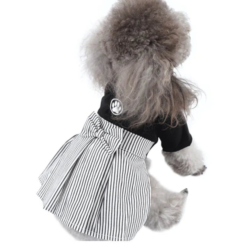 Cotton poodle dog clothes in skirt and four-legged pants styles for spring summer autumn wear