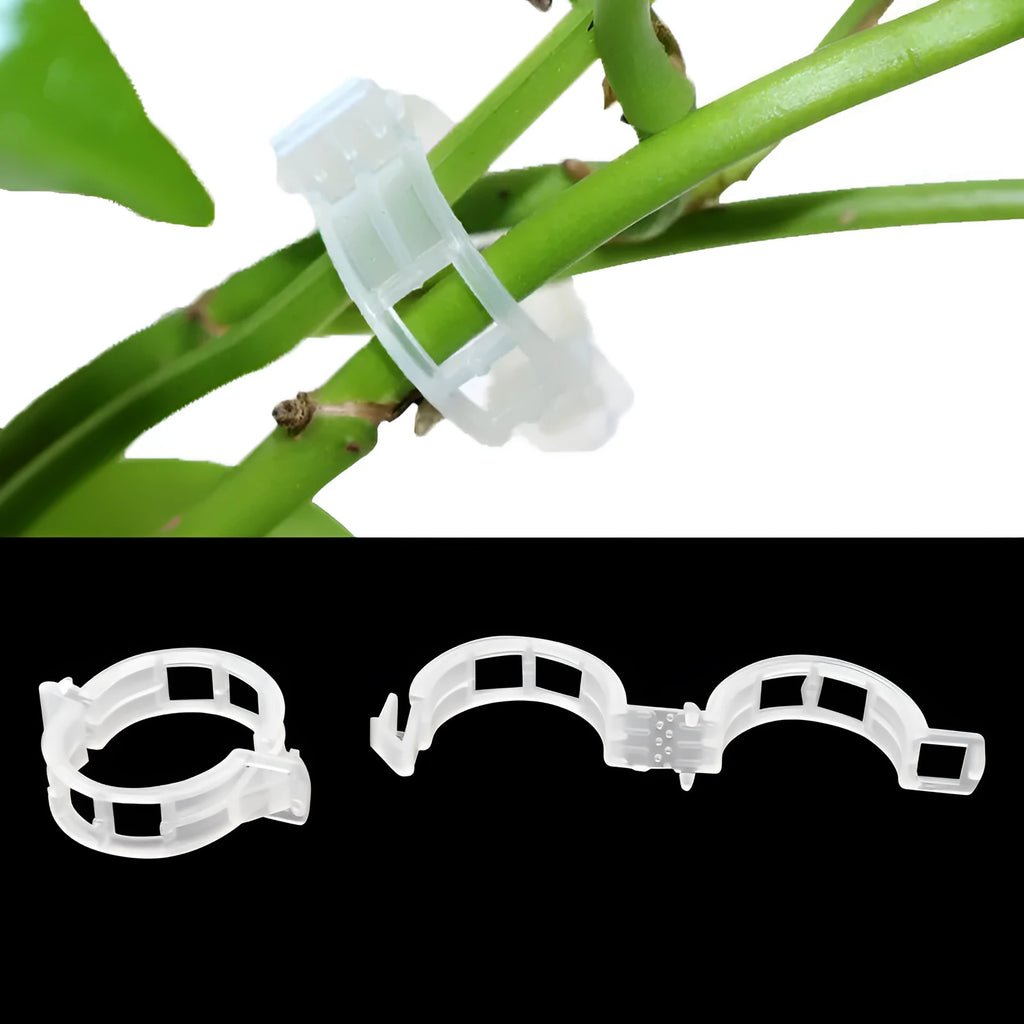 Plastic tomato plant grafting clips set of 50 pieces for garden vine support
