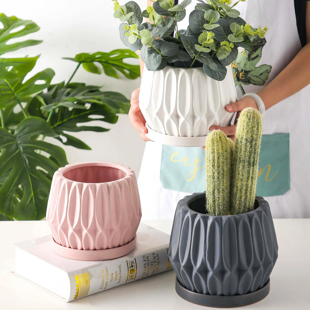 Grey small ceramic tabletop plant flowerpot on desktop with green plant