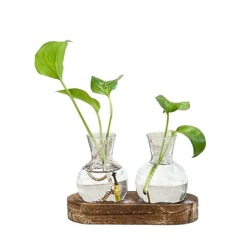 Wooden frame transparent hydroponic vase set with multiple PET glass containers in modern simplicity design
