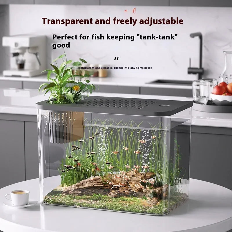 Medium plastic betta fish tank with cover in black or white colour measuring 32cm length