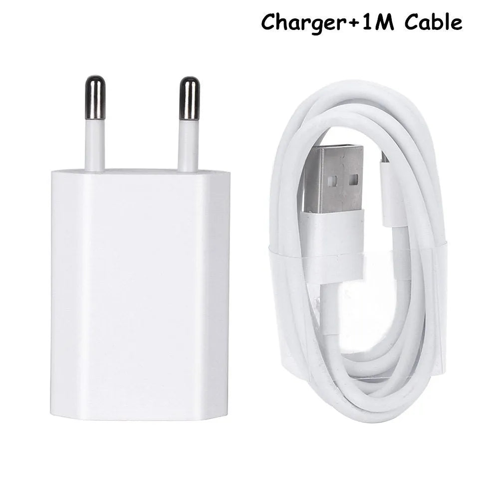5V 2A USB wall charger with Lightning cable compatible with iPhone and iPad models
