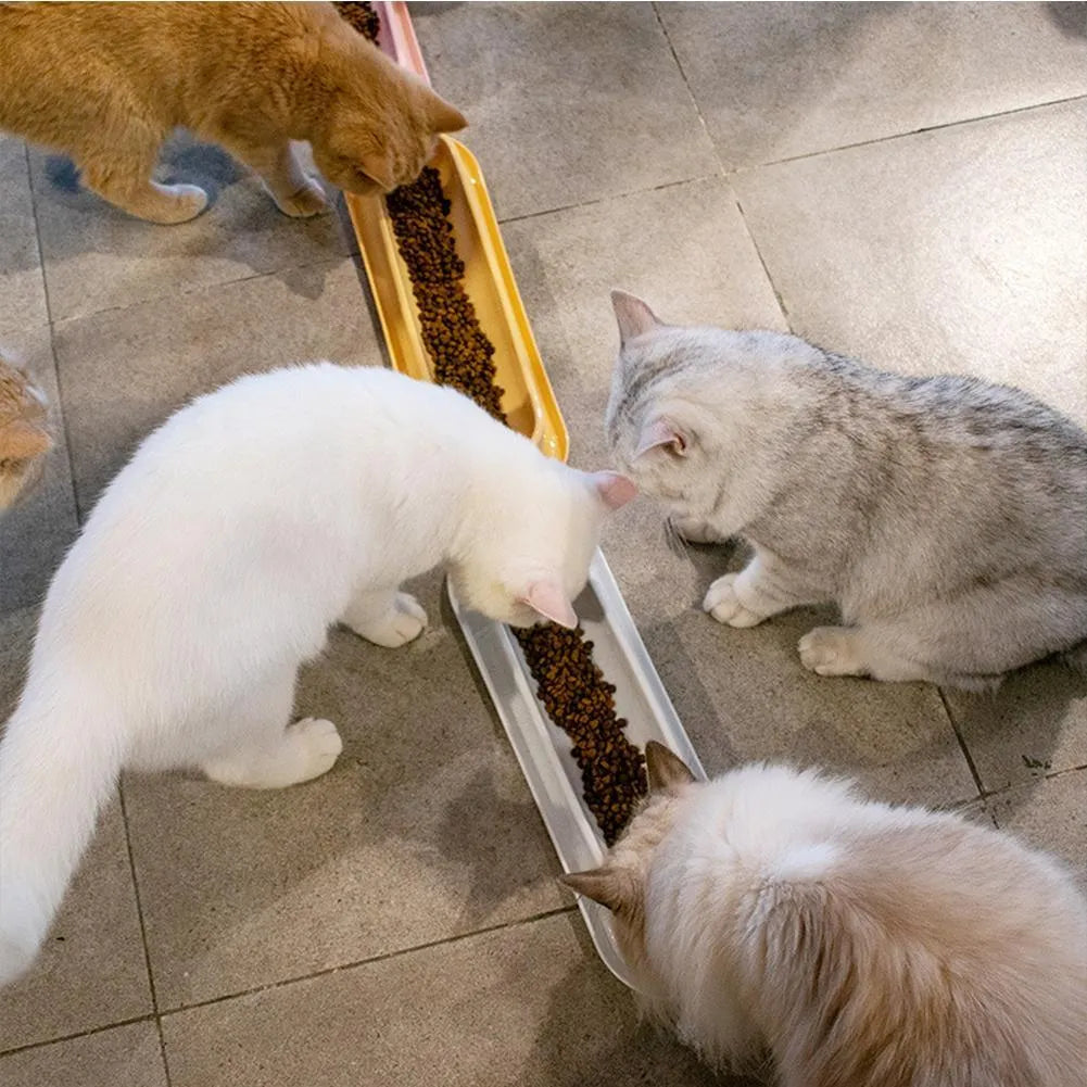 Set of four green pet feeding bowls with non-slip bases for cats and dogs