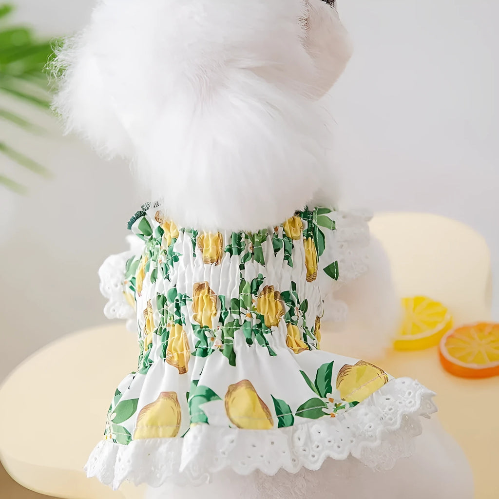 Rock yellow lemon polyester princess style dog dress with thin breathable strap skirt on a small dog.