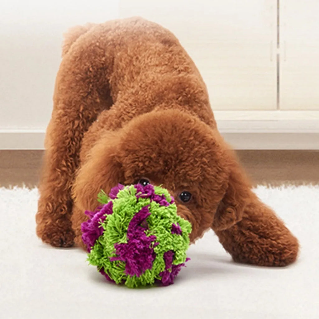 Purple plush dog chew ball approximately 15cm in diameter for teething relief and interactive play