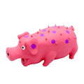 Colourful pig-shaped latex dog chew toy with textured surface for teeth cleaning