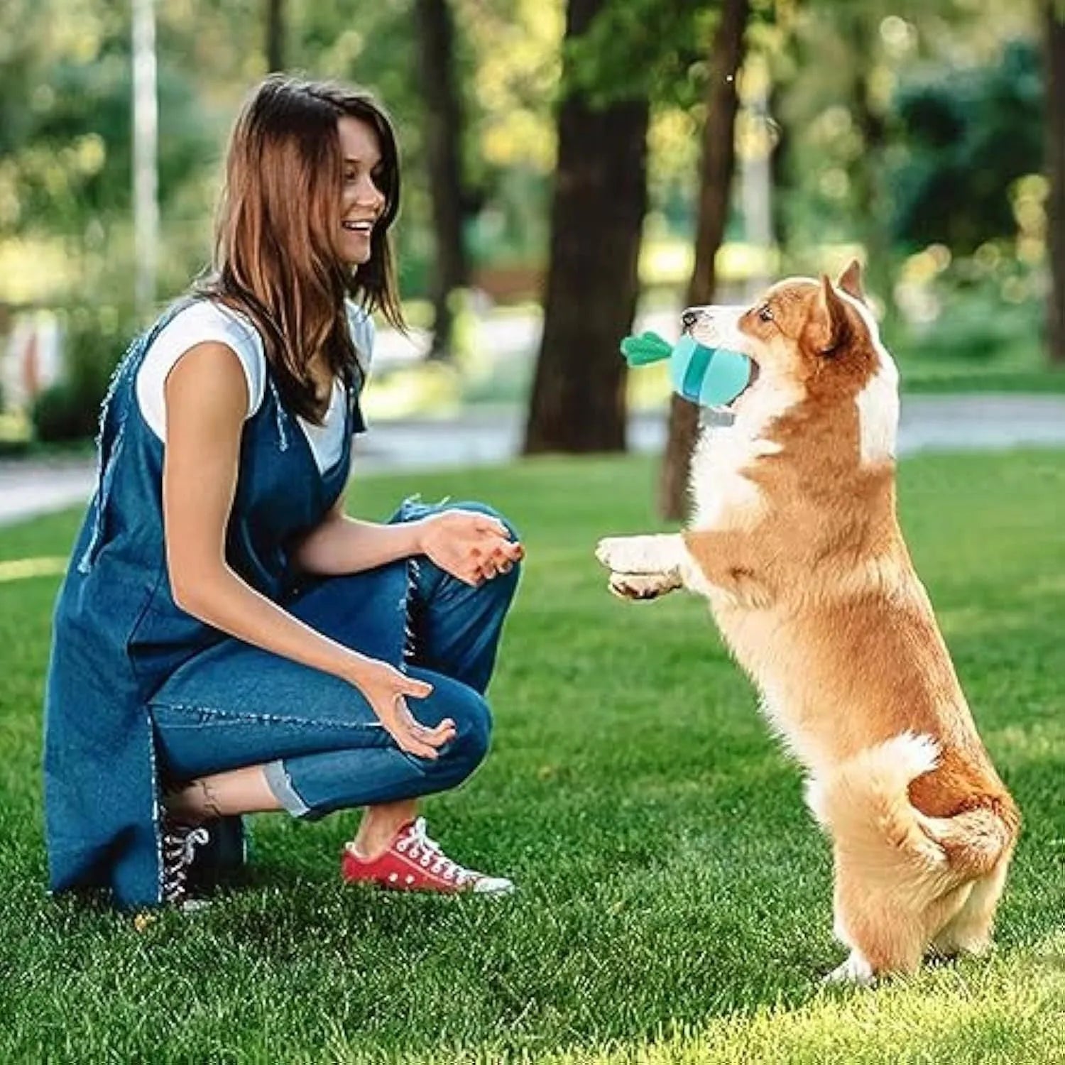 Blue and green durable rubber treat dispensing ball for medium large dogs with tumbler design