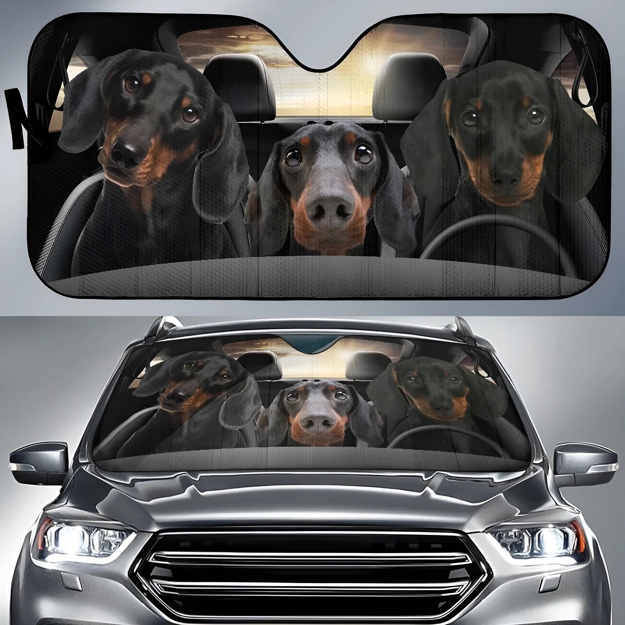 Aluminium film foam polyester fabric car front sunshade protector with lanyard ties