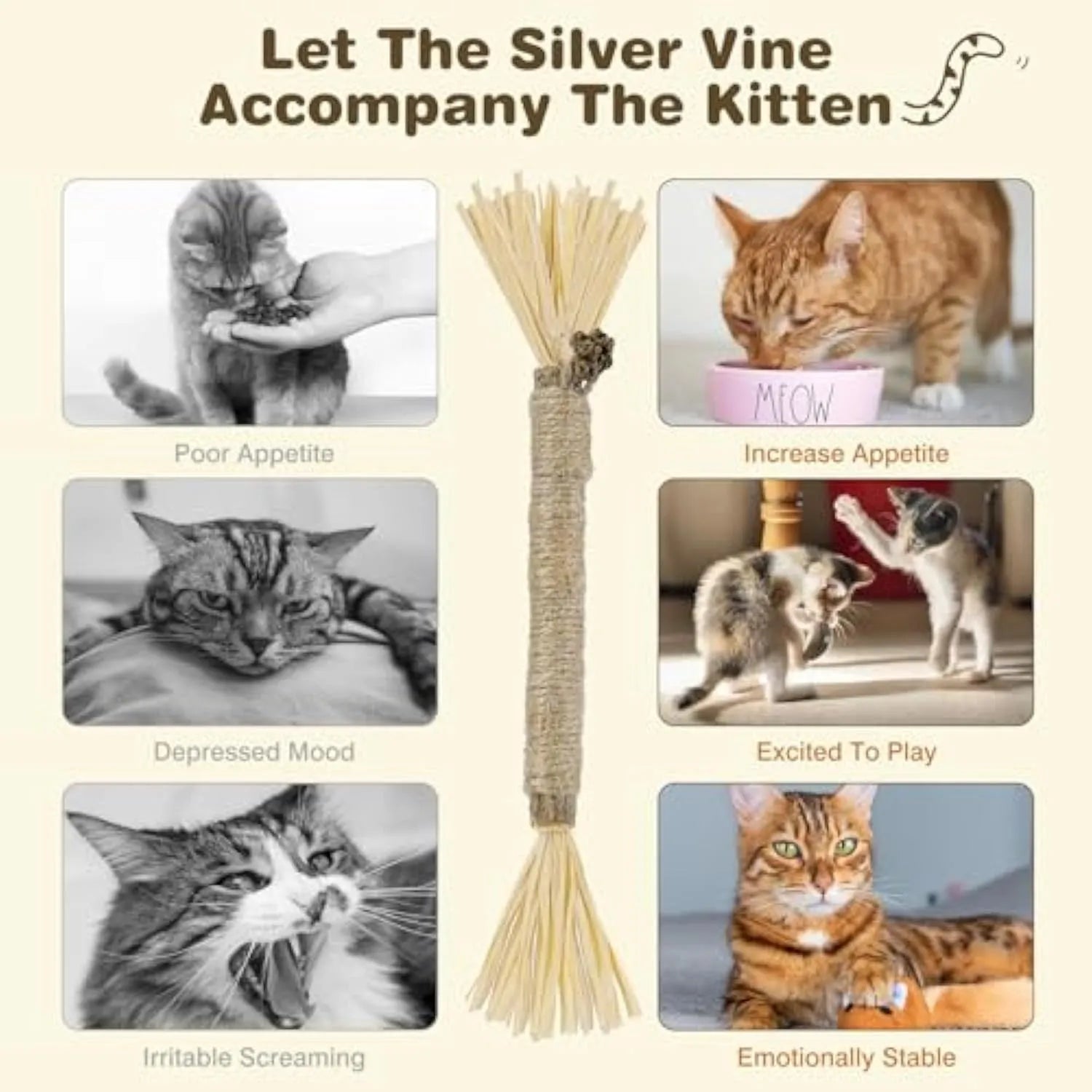 A 3 pack of natural silvervine chew sticks for cats on a wooden surface, showing thick and fine diameter options.