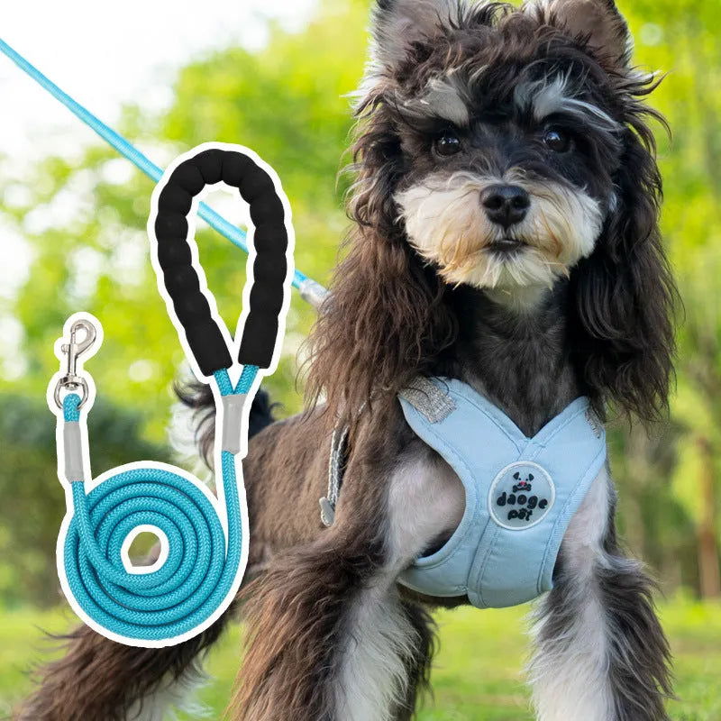 A blue polyester dog harness with an attached rope, laid flat, showing adjustable straps and metal clasp.