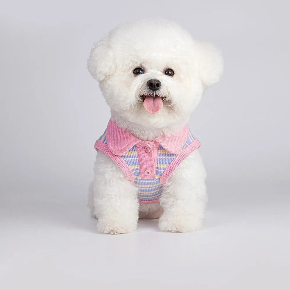 Pink purple pet vest for small dogs and cats showing lightweight autumn clothing design