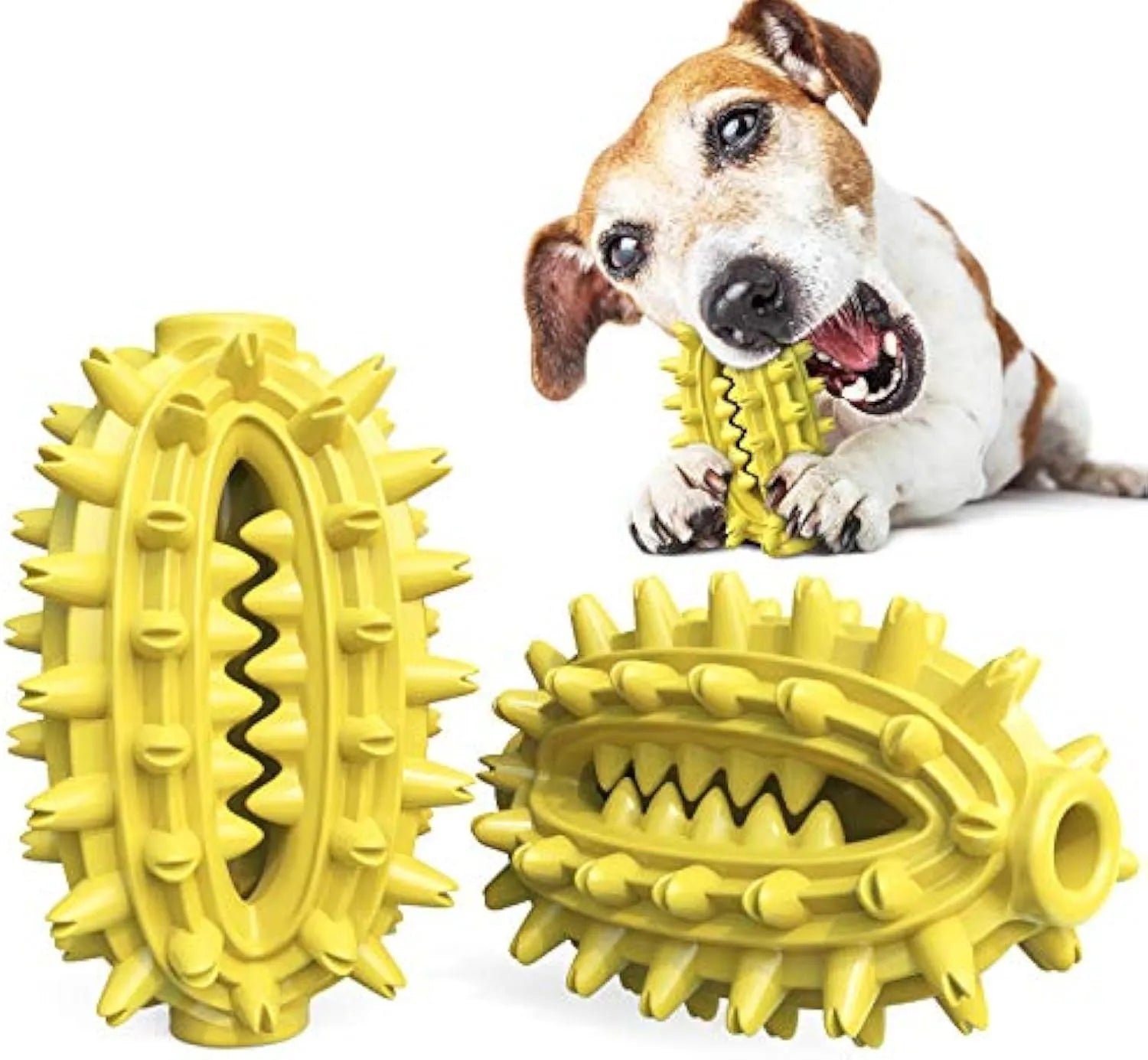 Green cactus-shaped dog chew toy with textured bumps and a central channel for dental care.