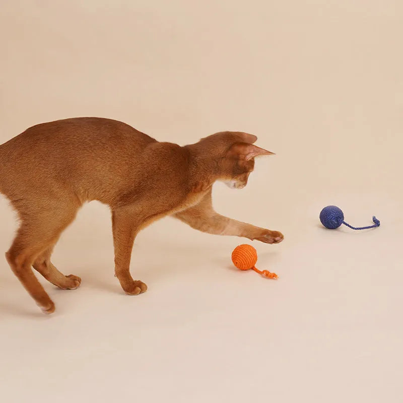 Cat teaser stick toy set with wand and three colourful catnip balls on blue background