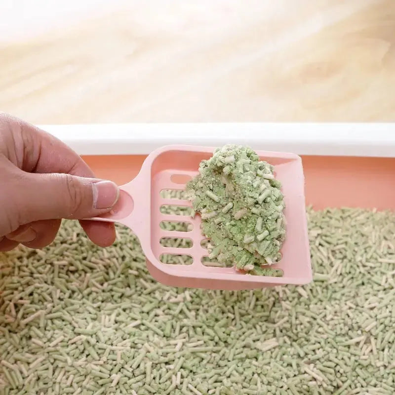 Blue plastic cat litter scoop with a long handle and perforated sifting head on a white background.
