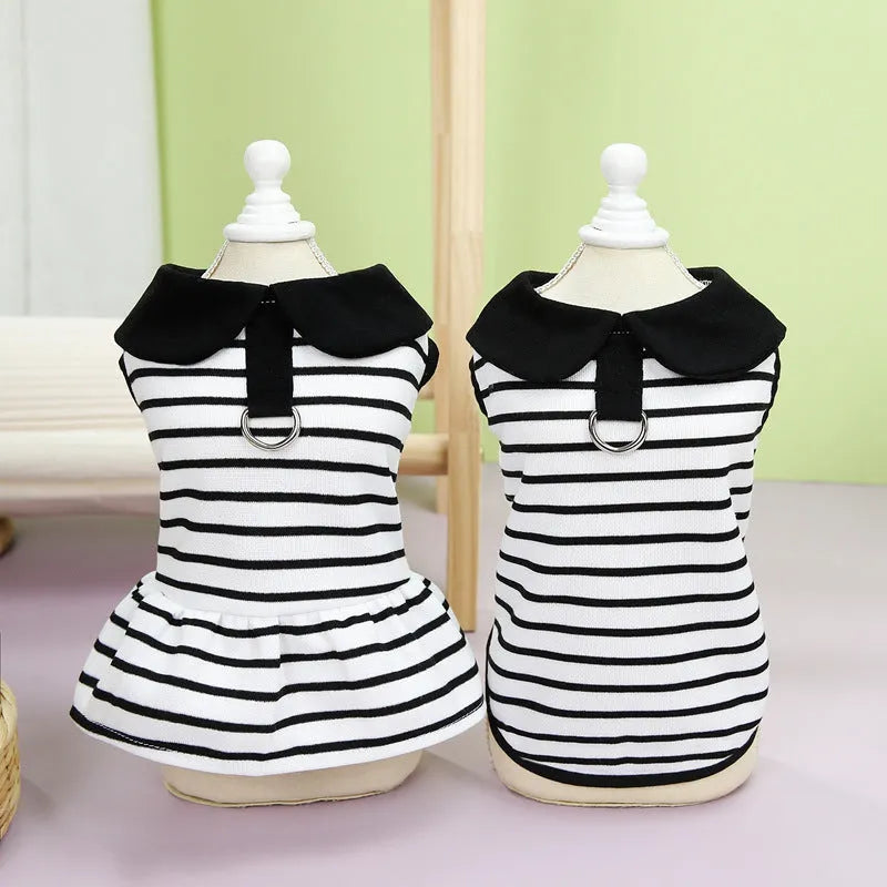 Pet wearing striped cotton t-shirt and matching skirt summer outfit