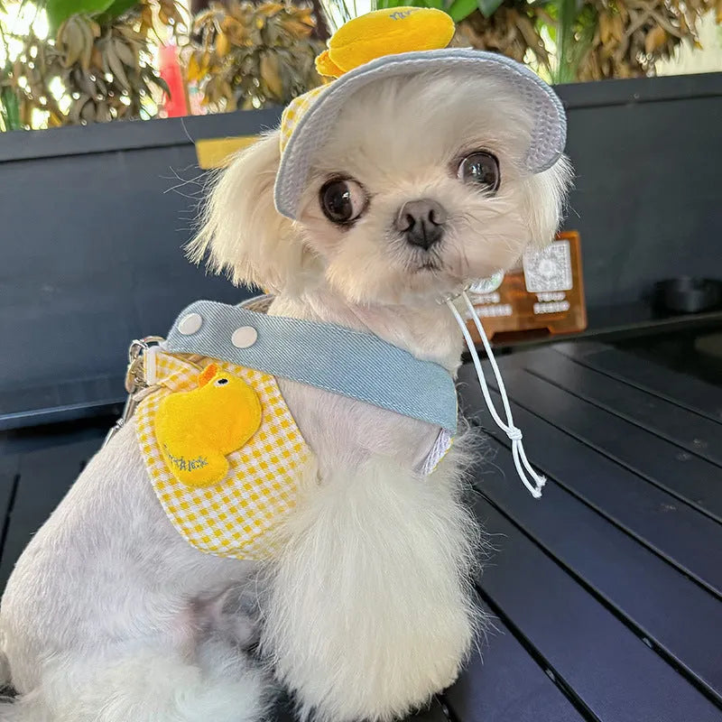 Pet harness and leash set with cat clothes outfit and hat for spring summer outdoor walking