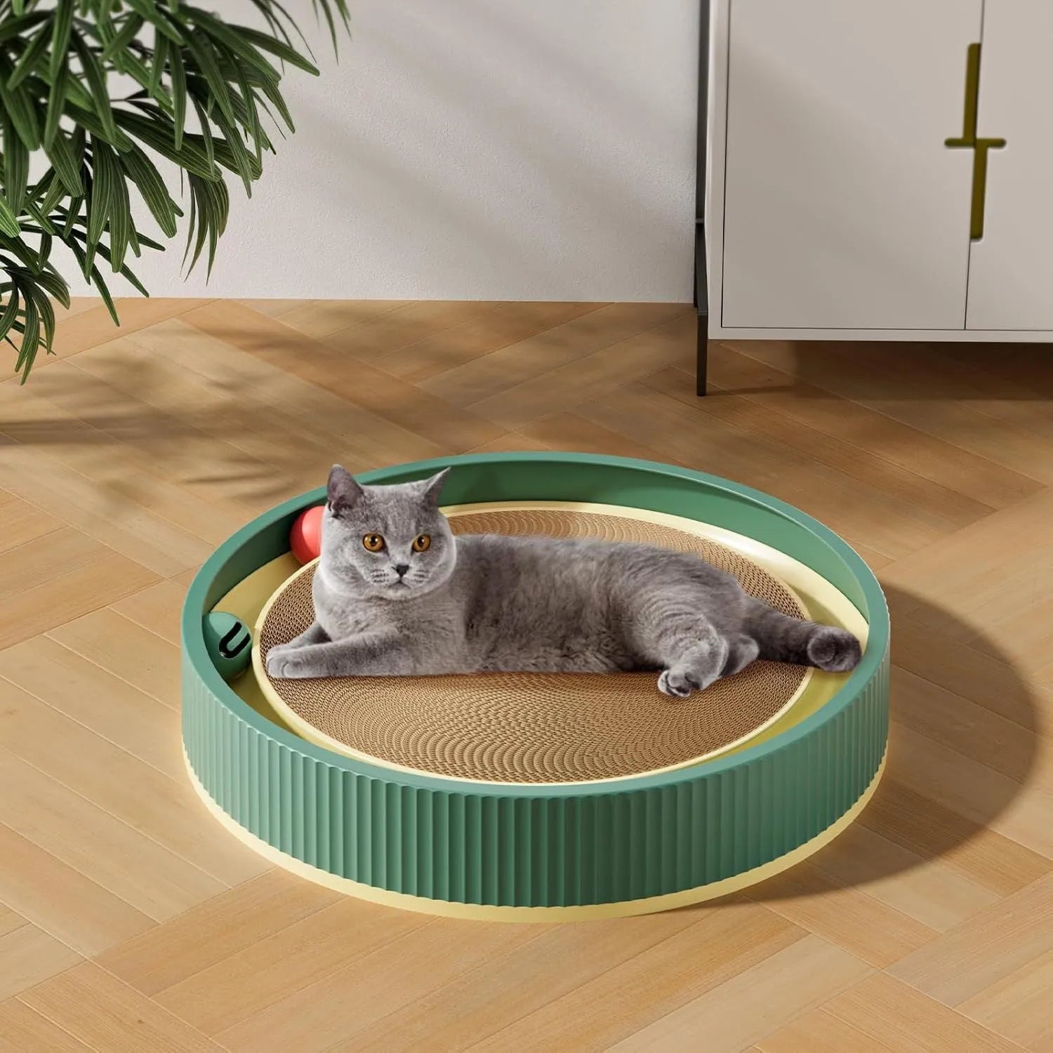 Large circular cat scratching board with green replaceable core and interactive bell toys