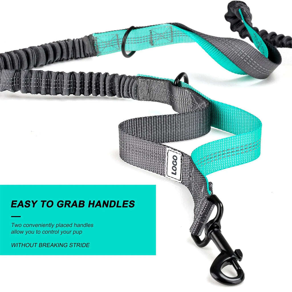 Black nylon pet training waist bag set with matching leash and collar for outdoor dog walking