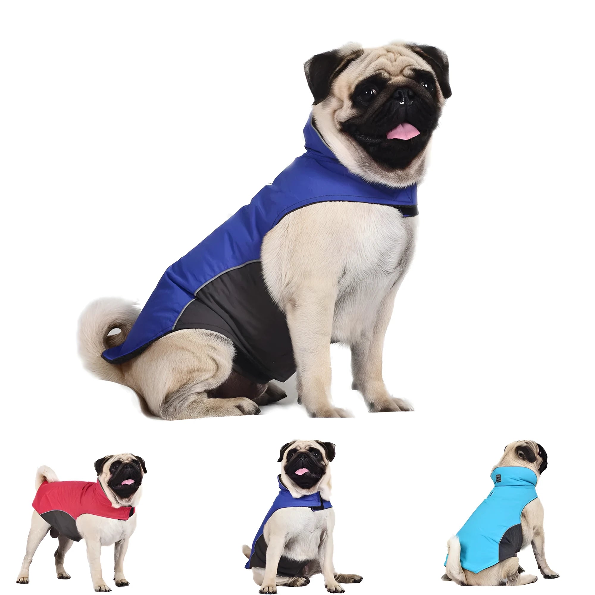 Waterproof vest jacket for dog in dark blue, showing vest style for autumn winter outdoor use.