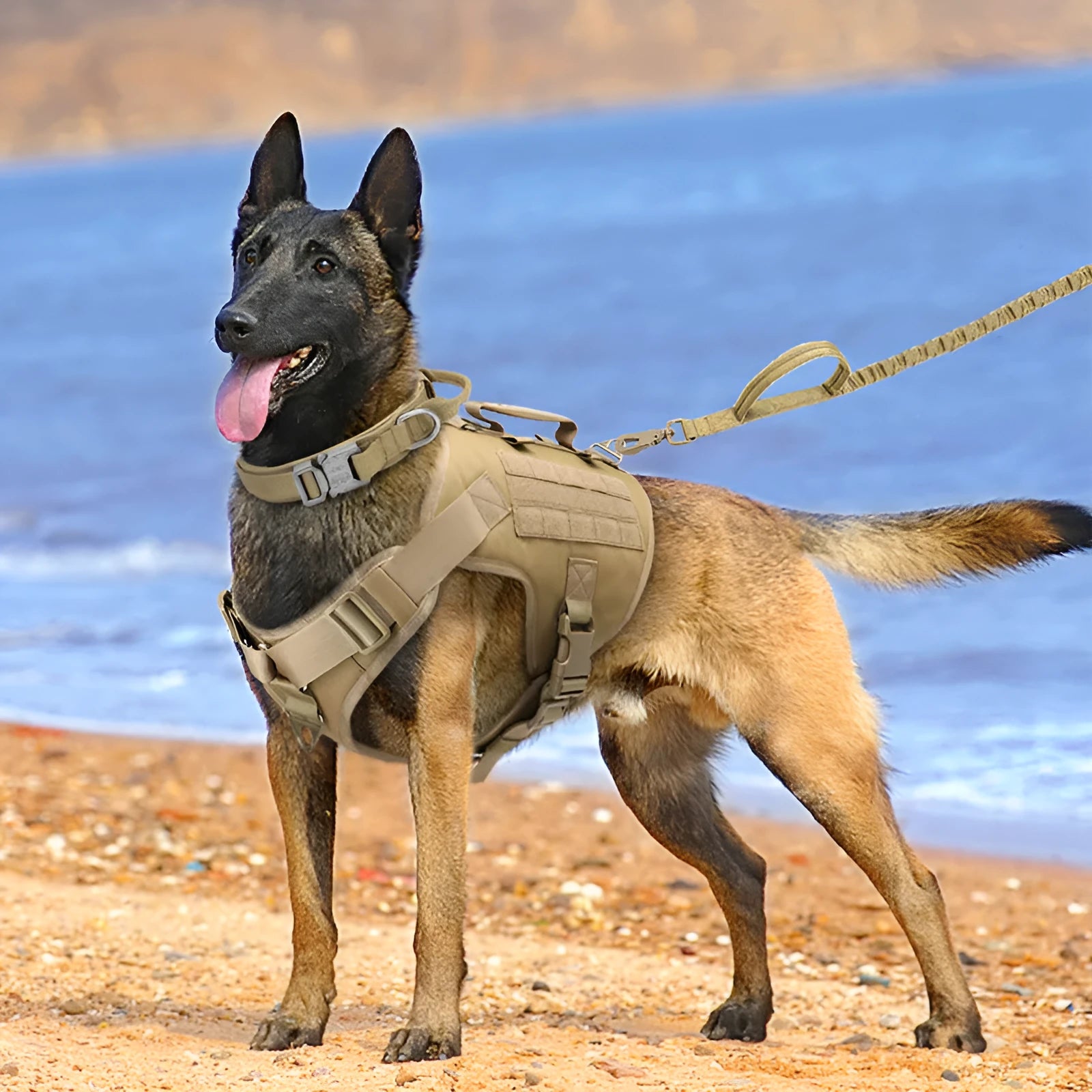 Tactics K9 nylon chest harness vest type dog collar in wolf brown single chest, adjustable S M L sizes