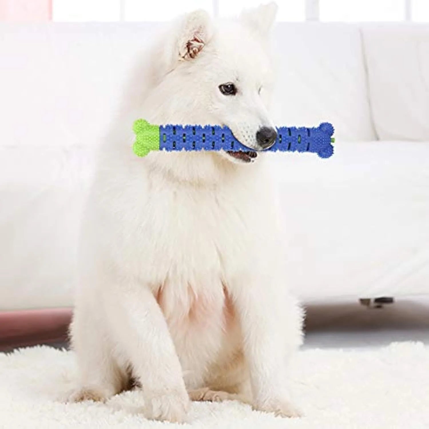Blue green dog dental cleaning toy with silicone bristles and massage nodules for tooth cleaning and chewing