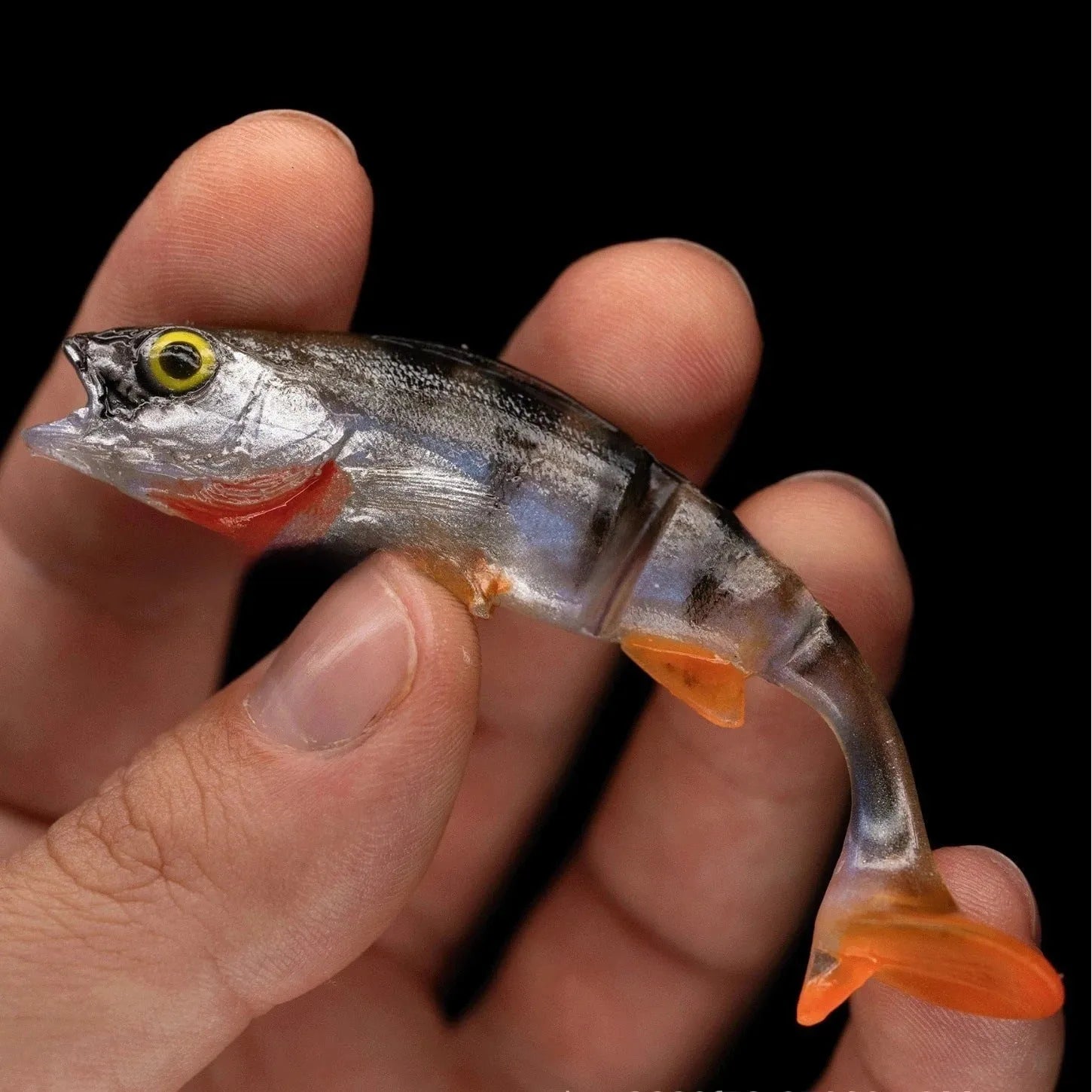 Fish T Tail soft fishing lure with realistic fish colour pattern and T-tail design