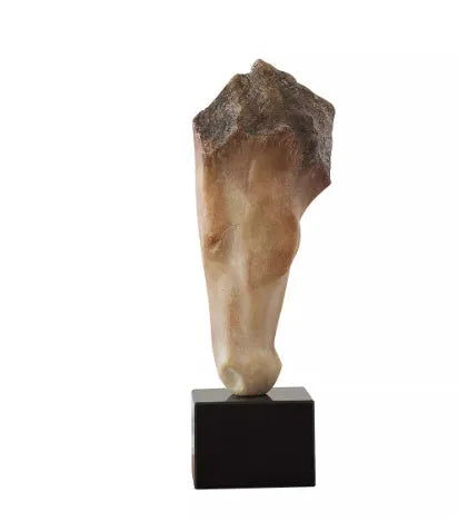 French retro abstract horse head sculpture ornament 50cm tall with carved surface