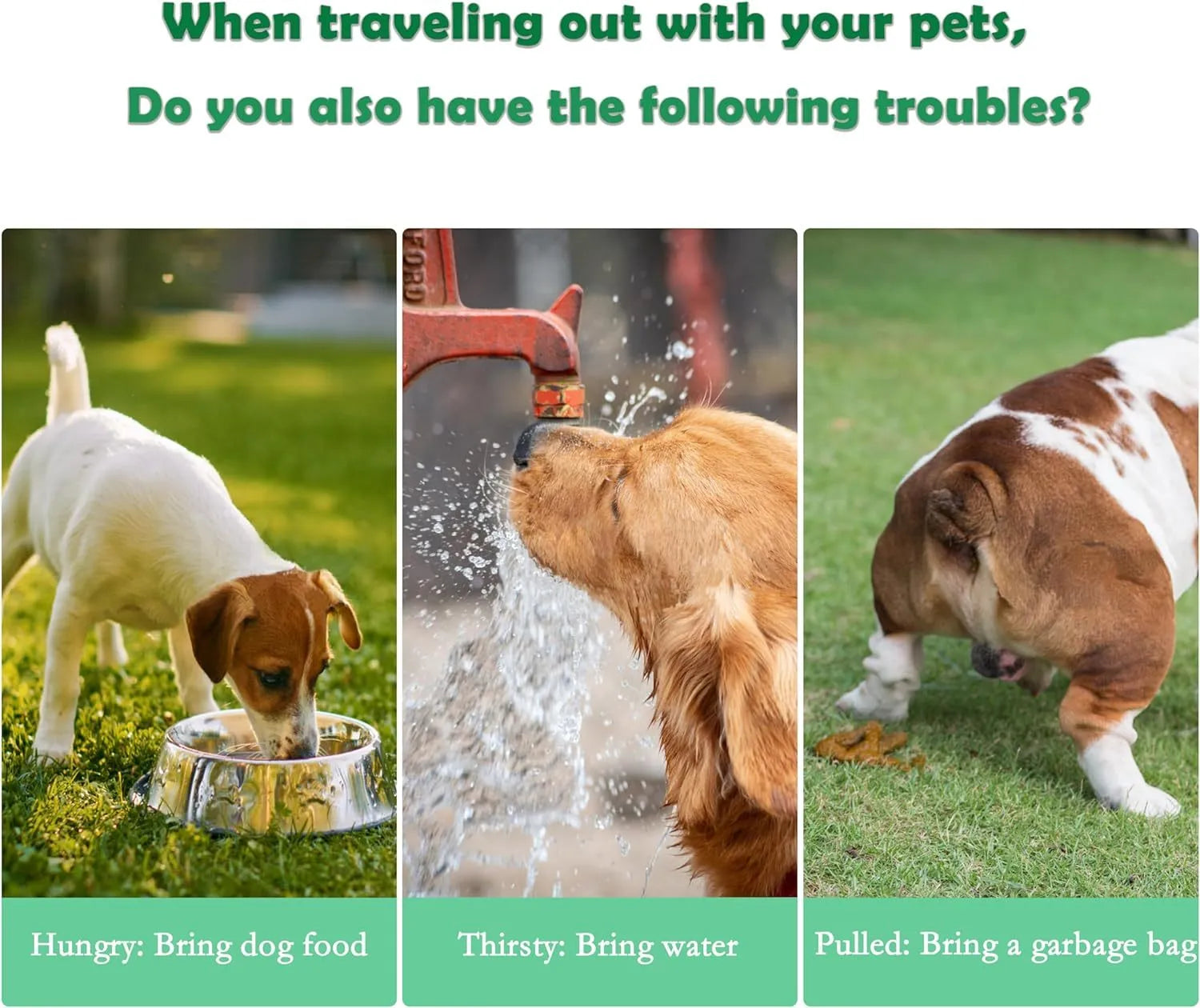 Green 3-in-1 portable pet water bottle with food container and waste bag dispenser attached to a strap.