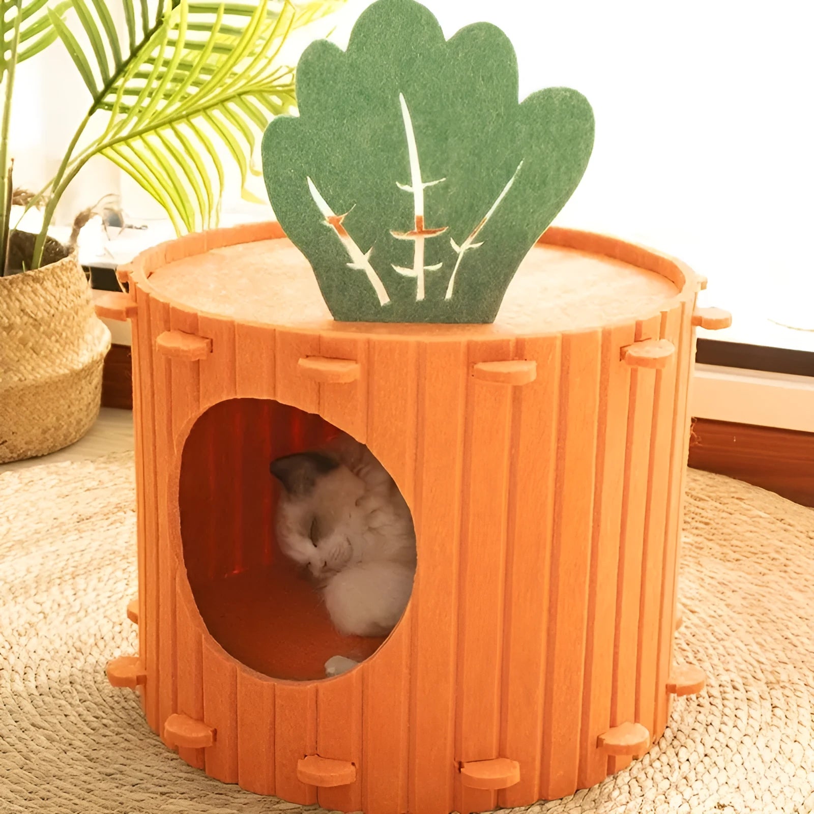 Carrot-shaped cat tunnel in thick felt fabric with semi-enclosed design for indoor cat privacy
