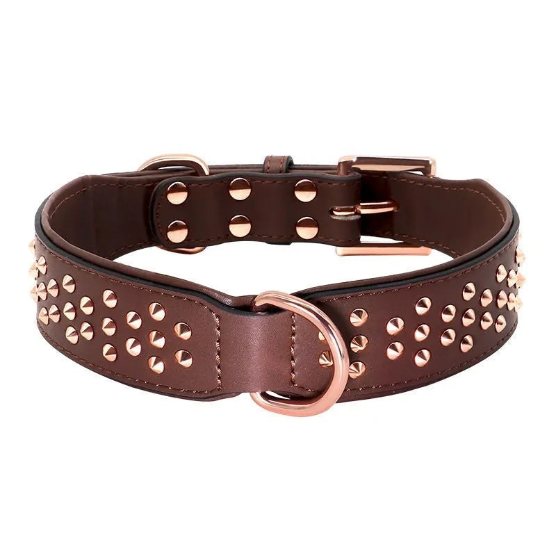 Leather dog collar with a line of stainless steel rivets, shown in black colour.