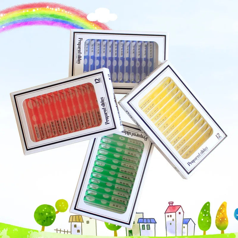Children's educational microscope slides showing plant rhizomes, stems, leaves, and animal specimens in colour-coded categories