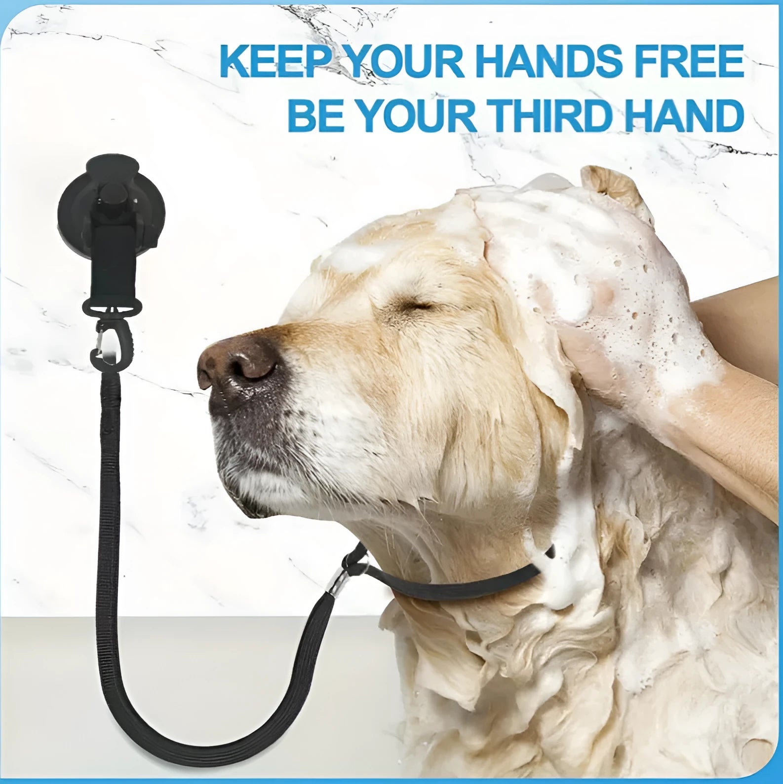 Pet bathing restraint with suction cup handcuffs and traction rope for dog washing in black or blue colour options