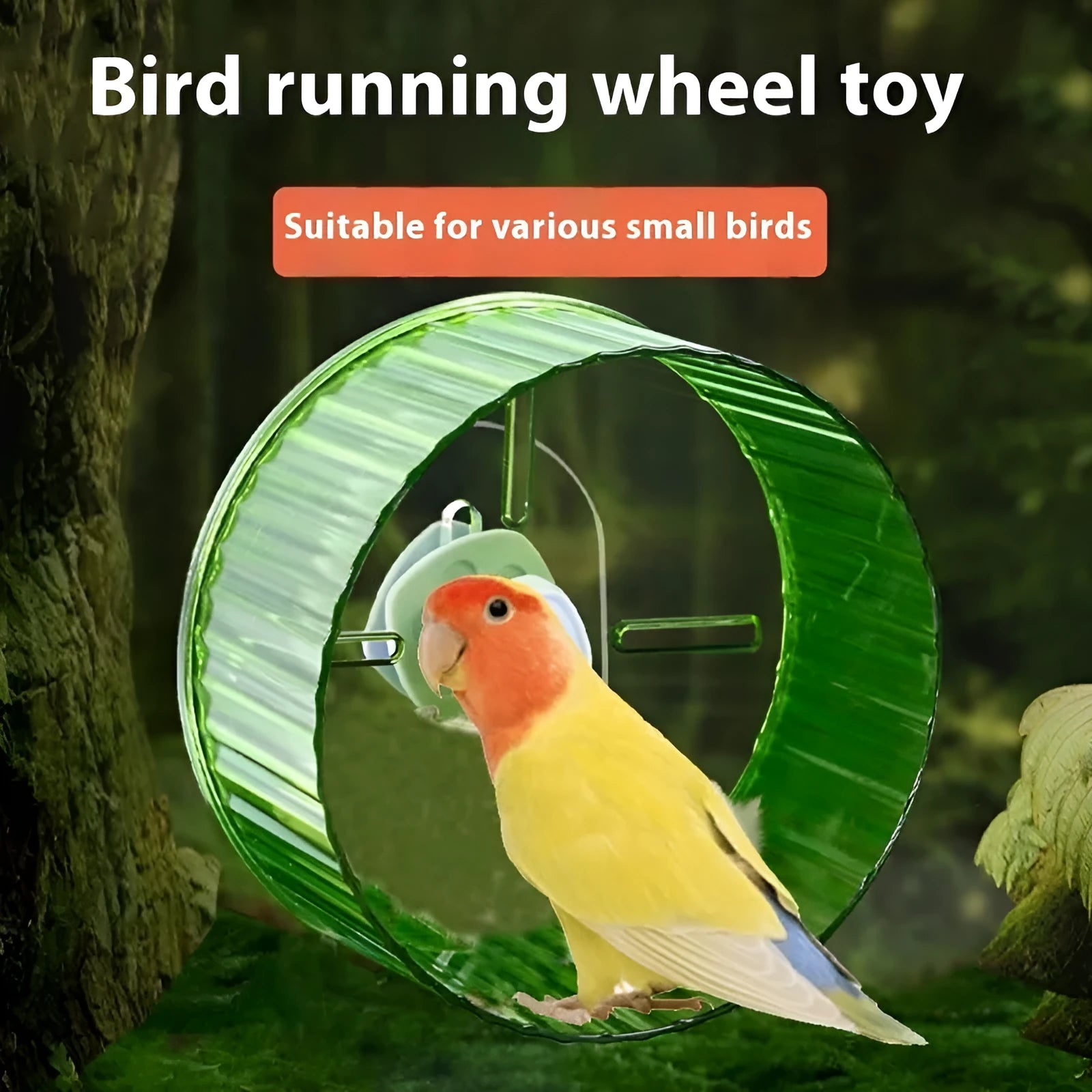 Parrot running wheel toy in plastic with transparent, green, orange, grey, and purple colour options