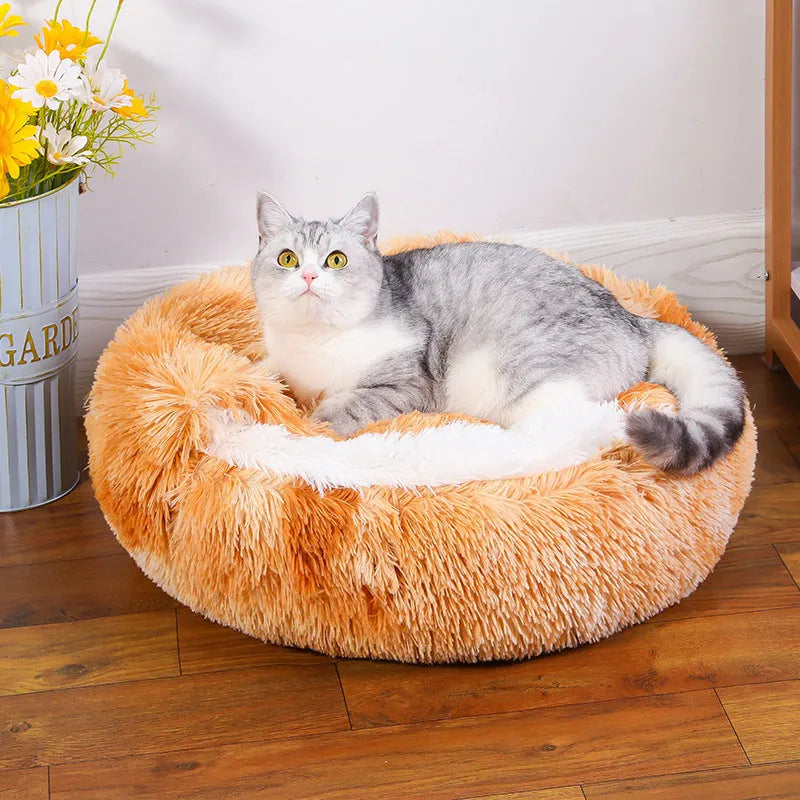 Waterproof dog kennel with semi-surrounded design in multiple colour options
