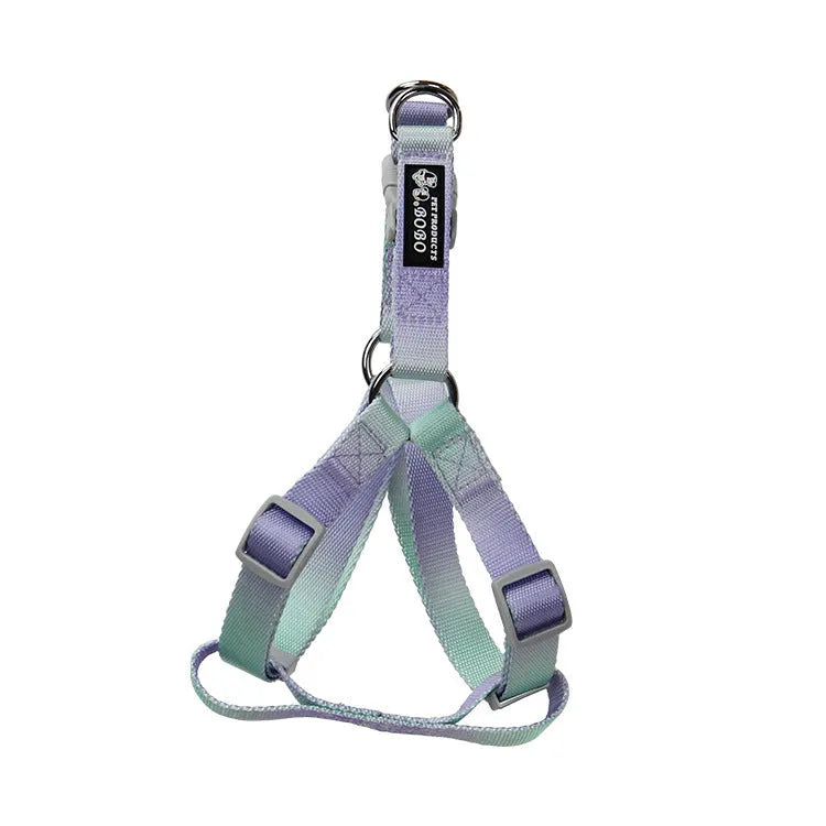 Gradient colour nylon dog leash set showing pink and yellow colour blend on a chest back harness style.
