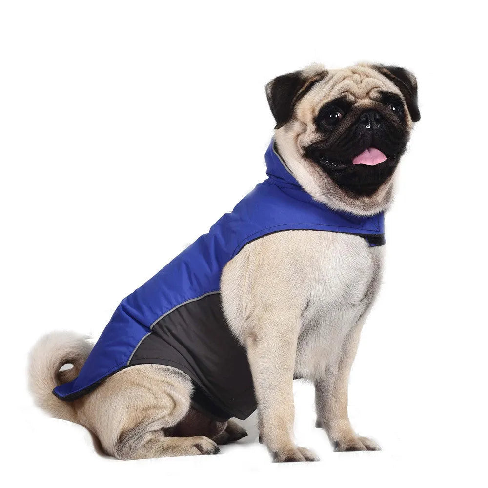 Waterproof vest jacket for dog in dark blue, showing vest style for autumn winter outdoor use.