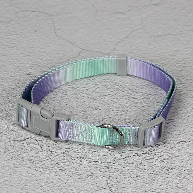 Gradient colour nylon dog leash set showing pink and yellow colour blend on a chest back harness style.